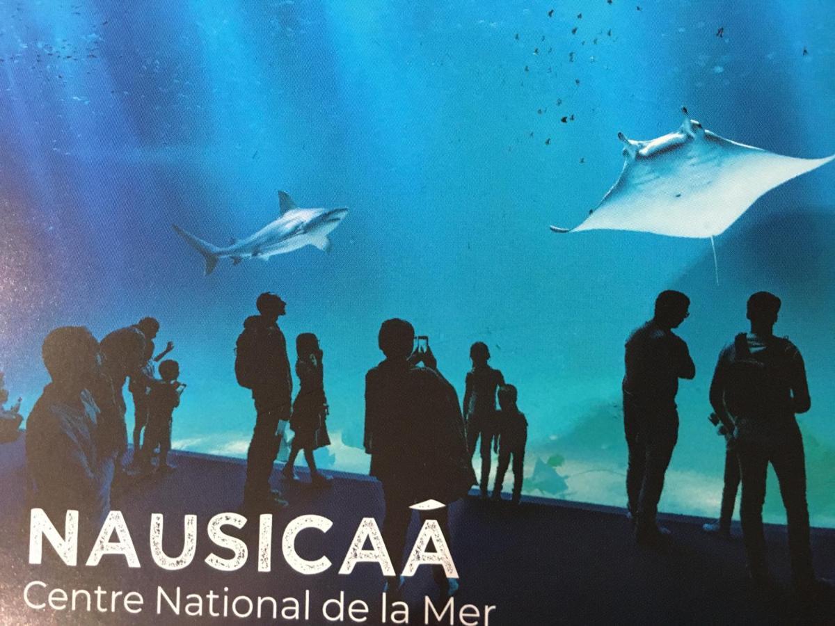 Studio " Escale En Bord De Mer " 维姆勒 外观 照片